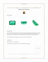 0.49 Ct. Emerald from Zambia Appraisal