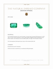 0.49 Ct. Emerald from Zambia Appraisal