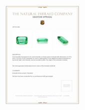 0.46 Ct. Emerald from Zambia Appraisal