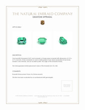 0.87 Ct. Emerald from Russia Appraisal