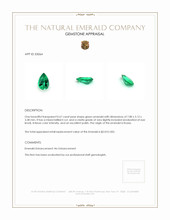 Jewelry Appraisal