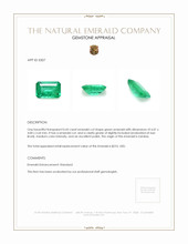 0.42 Ct. Emerald from Zambia Appraisal