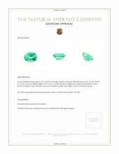 2.99 Ct. Emerald from Brazil Appraisal