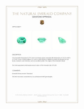 2.99 Ct. Emerald from Brazil Appraisal