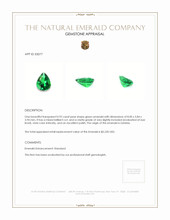 0.92 Ct. Emerald from Zambia Appraisal