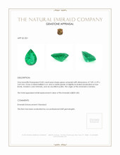 0.82 Ct. Emerald from Zambia Appraisal