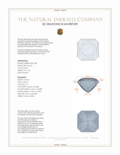 Jewelry 3 D Scan Report