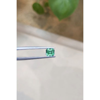 0.85 Ct. Emerald from Russia Life Style