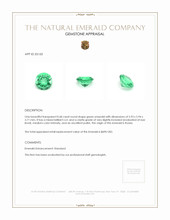 0.68 Ct. Emerald from Russia Appraisal