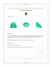 0.66 Ct. Emerald from Russia Appraisal