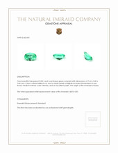 0.80 Ct. Emerald from Russia Appraisal