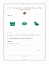 0.87 Ct. Emerald from Russia Appraisal