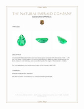 0.86 Ct. Emerald from Zambia Appraisal