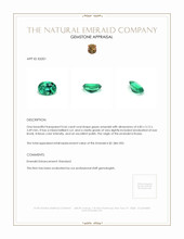0.66 Ct. Emerald from Russia Appraisal