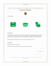 0.42 Ct. Emerald from Russia Appraisal