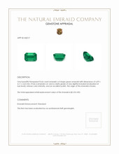 0.66 Ct. Emerald from Russia Appraisal