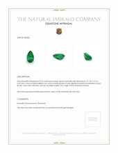 0.55 Ct. Emerald from Russia Appraisal