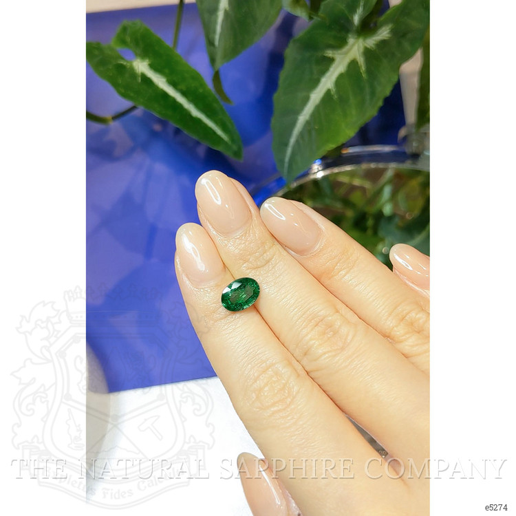 1.56 Ct. Emerald from Zambia