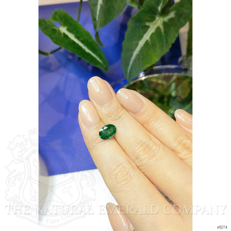 1.56 Ct. Emerald from Zambia