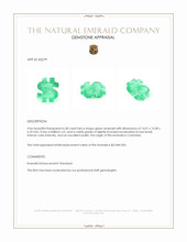 6.58 Ct. Emerald from Colombia Appraisal
