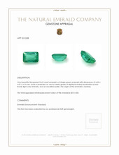 0.63 Ct. Emerald from Zambia Appraisal