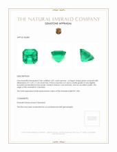 6.81 Ct. Emerald from Colombia Appraisal