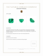 3.64 Ct. Emerald from Colombia Appraisal