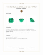 3.64 Ct. Emerald from Colombia Appraisal
