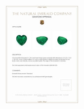 11.28 Ct. Emerald from Colombia Appraisal