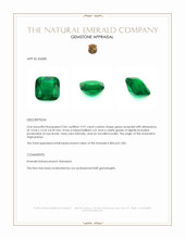 9.91 Ct. Emerald from Afghanistan Appraisal