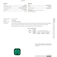9.91 Ct. Emerald from Afghanistan Scan Report