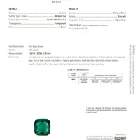 9.91 Ct. Emerald from Afghanistan Scan Report