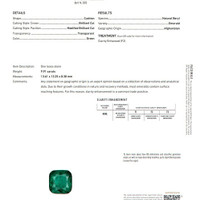 9.91 Ct. Emerald from Afghanistan Scan Report