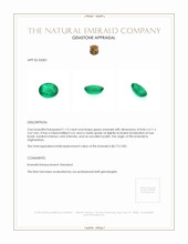 1.13 Ct. Emerald from Afghanistan Appraisal