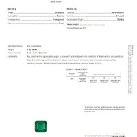 Jewelry Scan Report