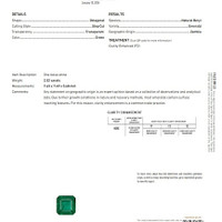 Jewelry Scan Report