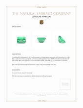 1.02 Ct. Emerald from Colombia Appraisal