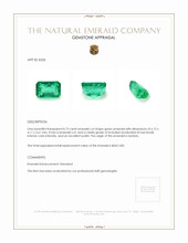 0.73 Ct. Emerald from Zambia Appraisal
