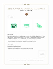 1.22 Ct. Emerald from Colombia Appraisal