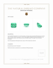 1.24 Ct. Emerald from Colombia Appraisal