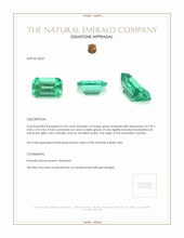 0.52 Ct. Emerald from Zambia Appraisal