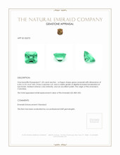 1.20 Ct. Emerald from Colombia Appraisal