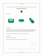 0.59 Ct. Emerald from Zambia Appraisal