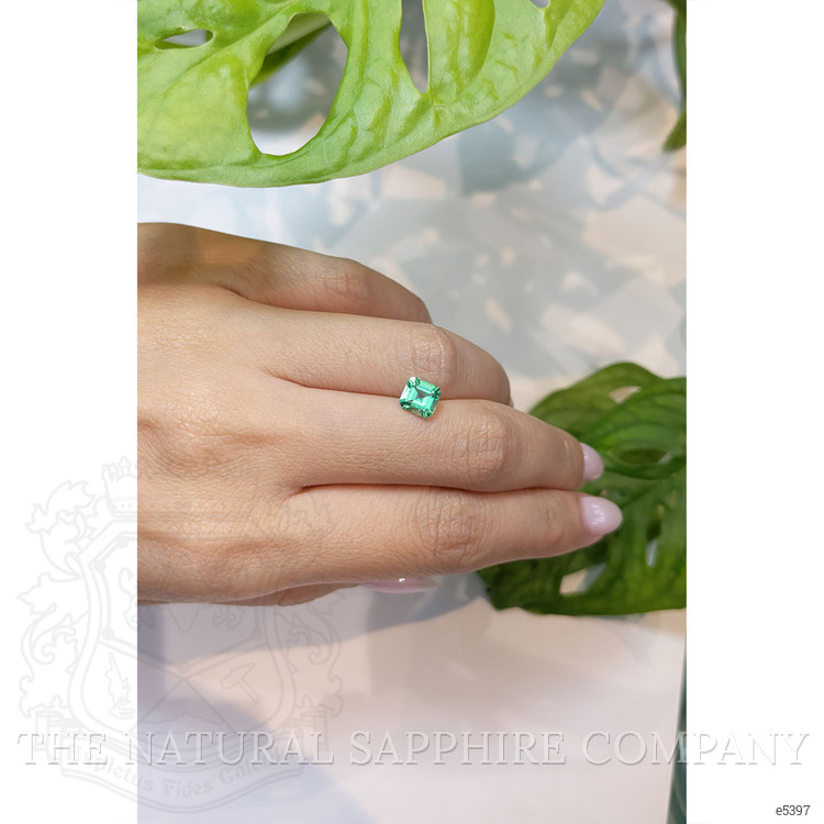 0.92 Ct. Emerald from Colombia