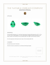 1.01 Ct. Emerald from Zambia Appraisal