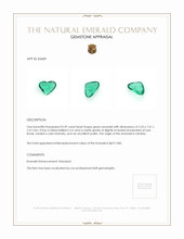 0.59 Ct. Emerald from Zambia Appraisal