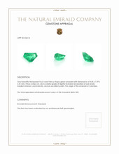0.62 Ct. Emerald from Colombia Appraisal