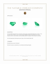 0.62 Ct. Emerald from Colombia Appraisal