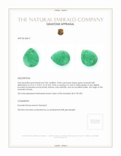 23.84 Ct. Emerald from Russia Appraisal