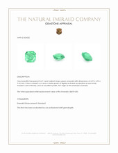 0.47 Ct. Emerald from Zambia Appraisal